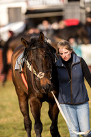 Race 4 - Novice and Veteran Riders (13 of 115).jpg
