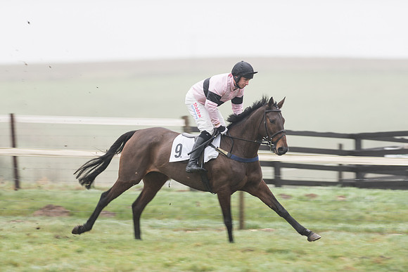 Race 5 - The Intermediate (12 of 59).jpg