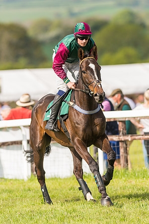 Race 5 - Restricted  (45 of 164)