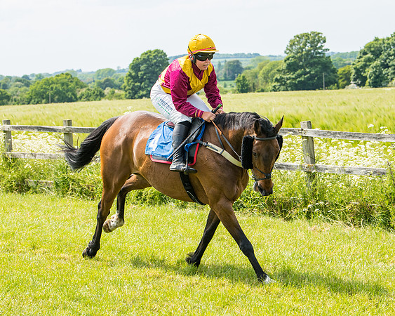 Race 2 - PPORA Novice Riders (141 of 444)