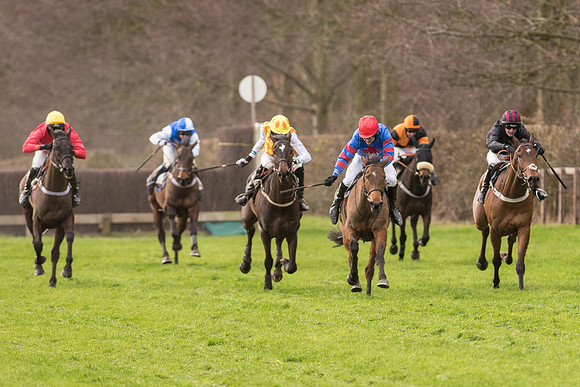 Race 2 - Young Horse Maiden (75 of 110).jpg