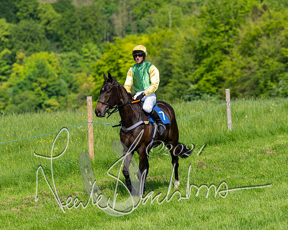 Race 5  - Maiden race 2m5F Div-1 (105 of 197)
