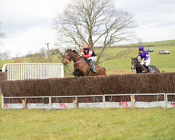 Race 2 - Young Horse Maiden (57 of 104)