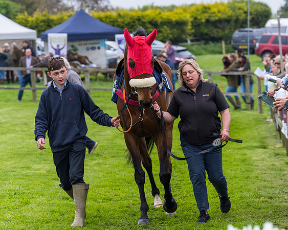 Race 6 - The Maiden [NWFAA] (9 of 143)