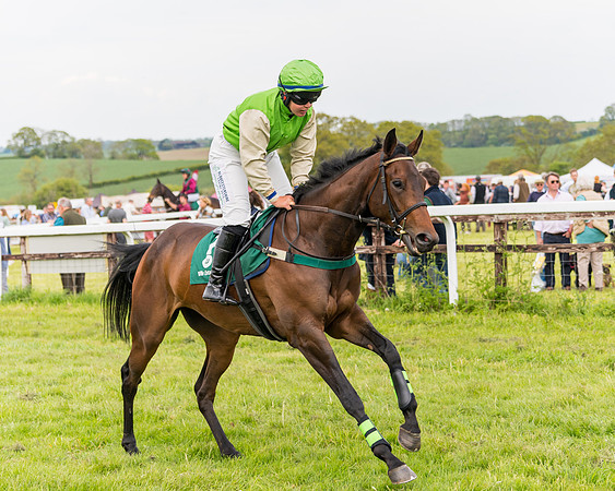 Race 6 = Maiden (31 of 187)