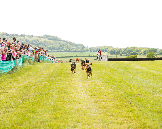 Draghounds Race (83 of 212)