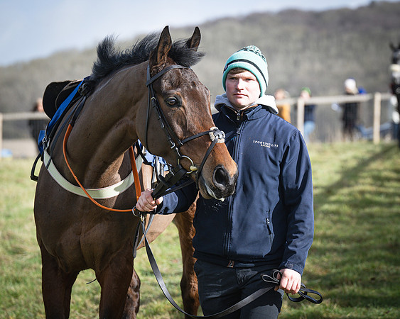 Race 1 - Four and Five year Old Maiden (27 of 137)
