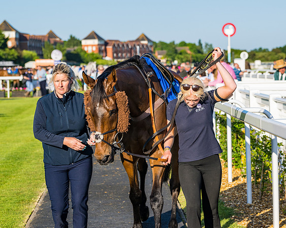 Race 4 - Foxhunters Championship (16 of 175)