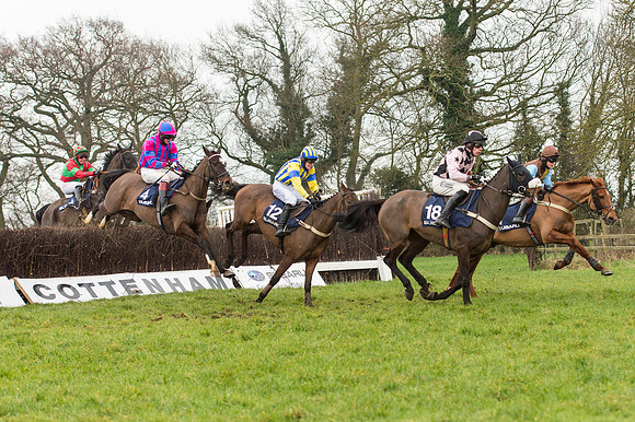 Race 5 - The Restricted Race (55 of 86).jpg