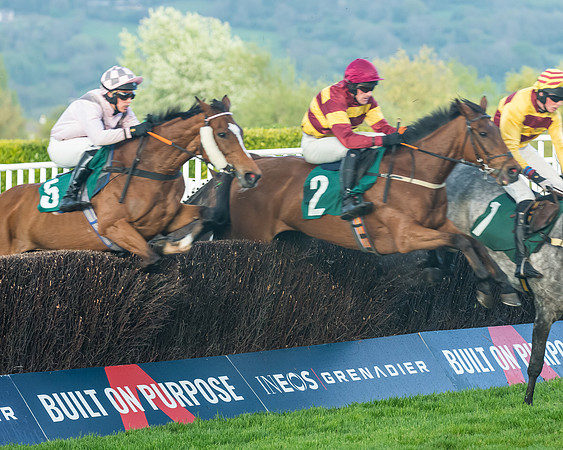 Race 5 - Mares Open  (103 of 329)