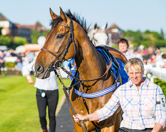 Race 4 - Foxhunters Championship (5 of 175)