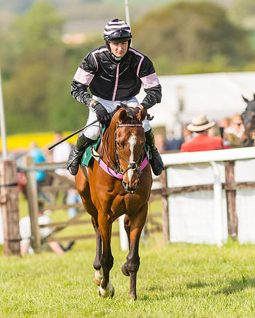 Race 5 - Restricted  (13 of 164)
