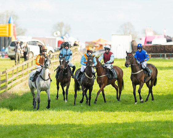 Race 7 - Maiden  (36 of 113)