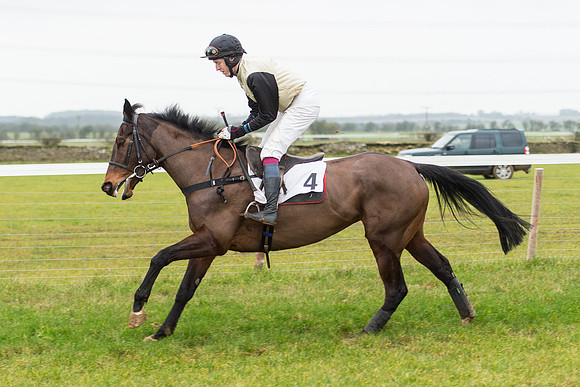 Race 6 - Open Maiden Race Div 2  (21 of 118).jpg