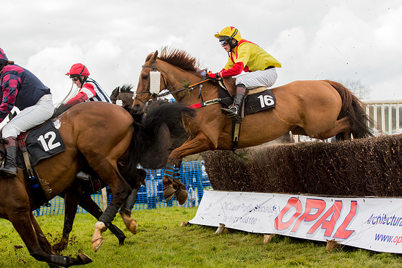 Race 2 - Novice and Veterans   (60 of 101).jpg