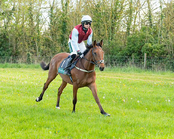 Race 7 - Maiden  (18 of 113)