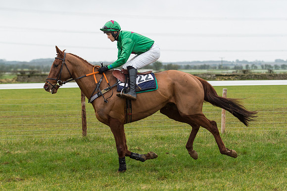 Race 6 - Open Maiden Race Div 2  (9 of 118).jpg
