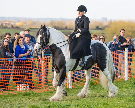 Side Saddle dash  (4 of 170)