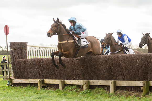 Race 2 - Young Horse Maiden (49 of 110).jpg