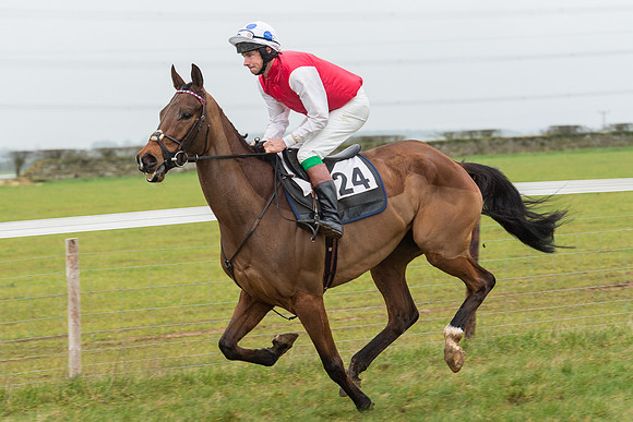 Race 6 - Open Maiden Race Div 1  (13 of 90).jpg