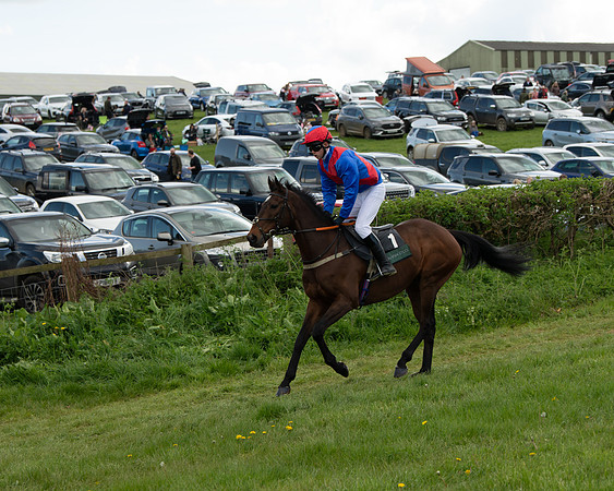 Race 5 - Novice and Veteran Riders (2 of 91)