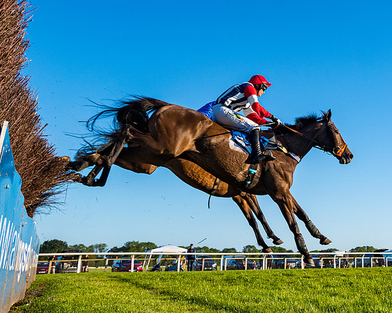 Race 5 - Whitw Swan Handicap (15 of 67)
