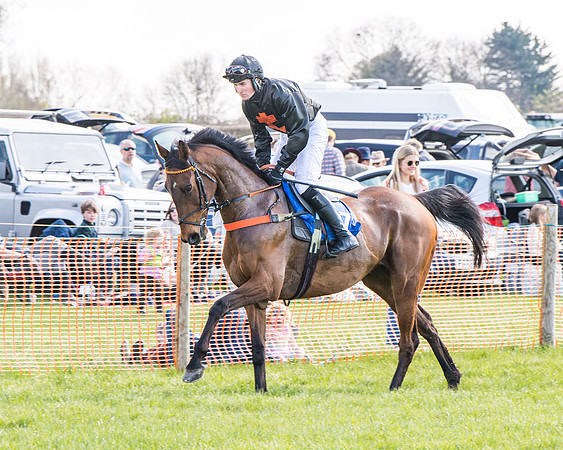 Race 4 - The Warehouse Reit Mixed Open Race  (4 of 124)