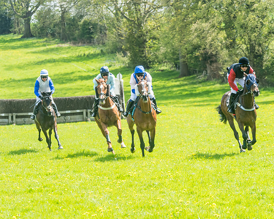 Race 2 - Veteran Horse  (34 of 82)