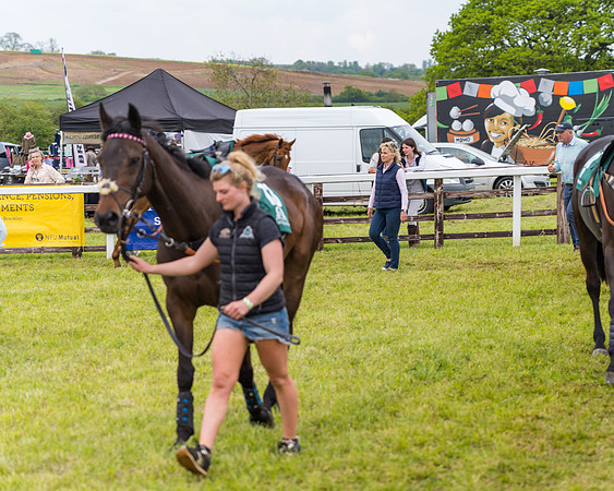 Race 7 - Veteran Horse conditions (13 of 244)
