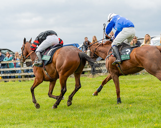 Race 2 - ROR and veteran Horse Conditions race (52 of 77)