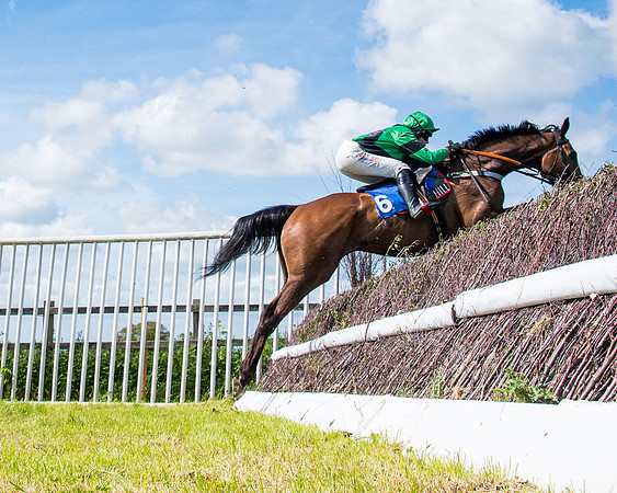 Race 3 - The Ladies open (69 of 104)