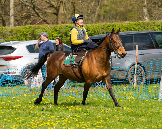 Ponies and Side saddle (68 of 69)