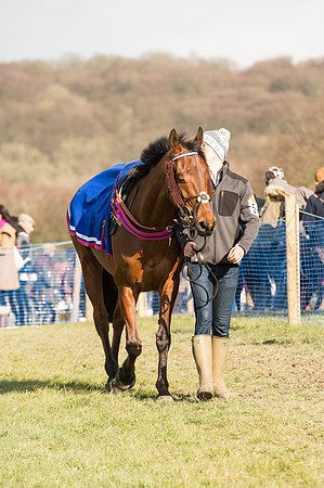 Race 4 - Ladies Open (12 of 100).jpg