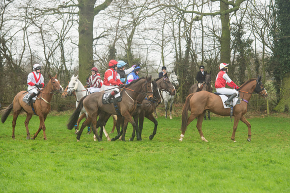 Race 5 - Ladies Open Race (30 of 119).jpg