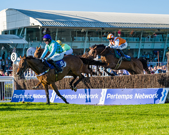 Race 4 - Foxhunters Championship (73 of 175)