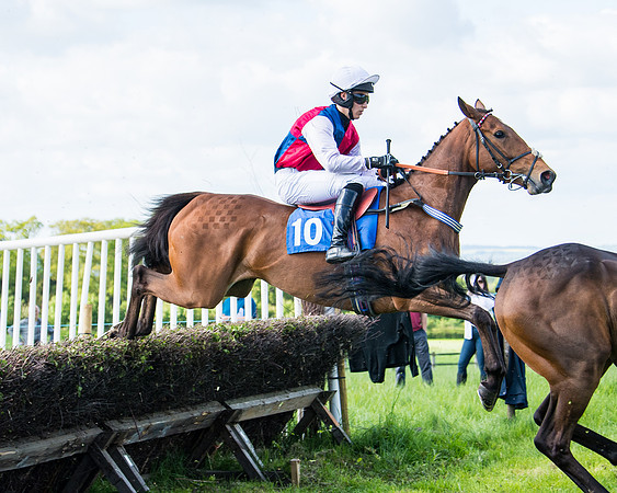 Race 5 - 2m5f Maiden (56 of 144)
