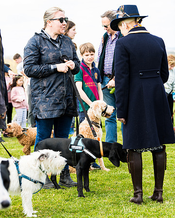 Dog show etc (101 of 157)