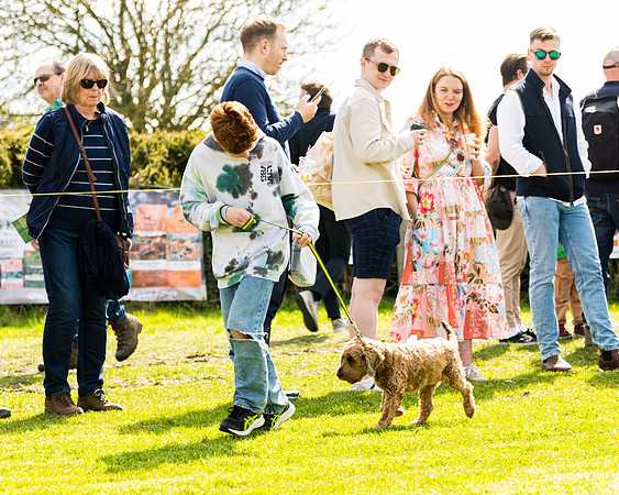 Dog show etc (74 of 157)