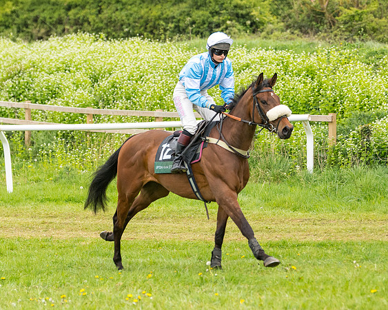 Race 7 - Open Maiden  (18 of 106)