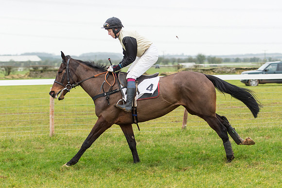 Race 6 - Open Maiden Race Div 2  (22 of 118).jpg