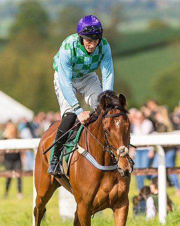 Race 5 - Restricted  (41 of 164)