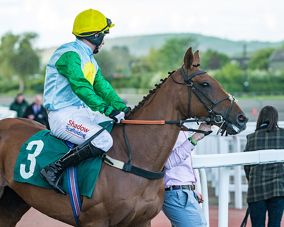 Race 5 - Mares Open  (71 of 329)