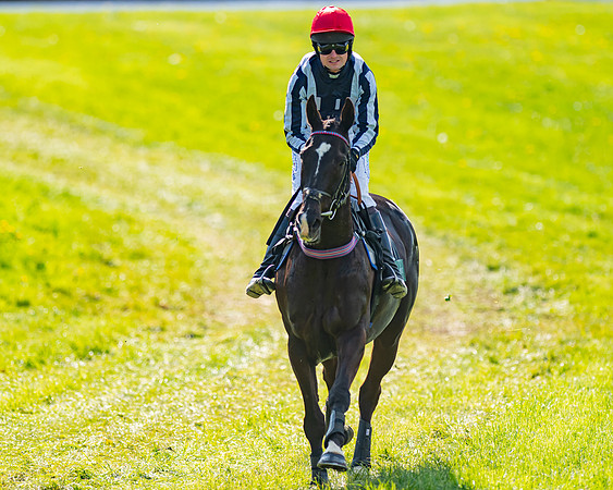 Race 4 - Mixed Open (6 of 134)