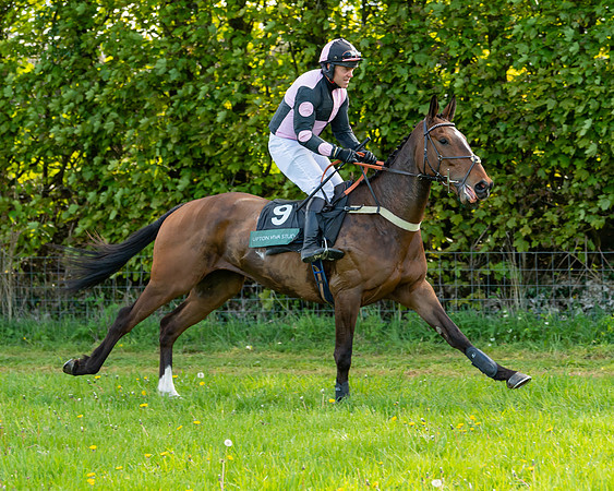 Race 7 - Maiden  (5 of 113)