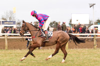 Race 7 - Yoiung Horse Maiden Race (18 of 101).jpg