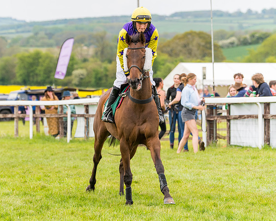 Race 7 - Veteran Horse conditions (64 of 244)