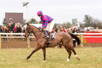 Race 7 - Yoiung Horse Maiden Race (17 of 101).jpg
