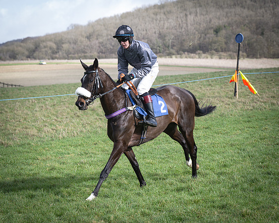 Race 1 - Four and Five year Old Maiden (59 of 137)