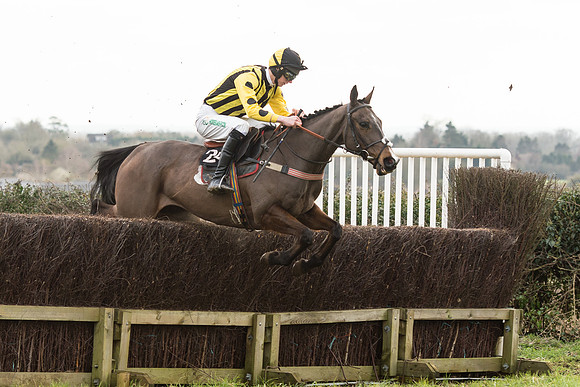 Race 5 - 2M 4F Conditions (36 of 96).jpg