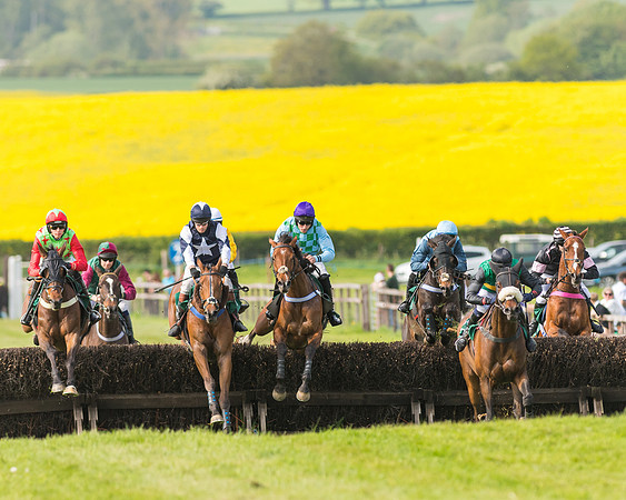 Race 5 - Restricted  (60 of 164)